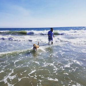 Meet your Posher, Ariel